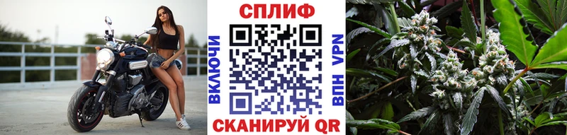 Бошки марихуана LSD WEED  Краснознаменск 
